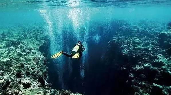 2024浙江两会进行时|浙江省十四届人大二次会议胜利闭幕